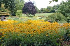 20250823_GrugaPark-Essen-70