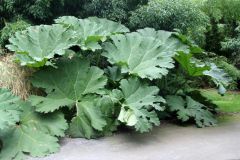 20250823_GrugaPark-Essen-76