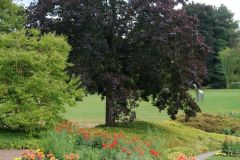 20250823_GrugaPark-Essen-79