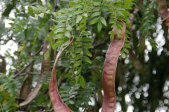 20250823_GrugaPark-Essen-80