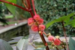 20250823_GrugaPark-Essen-82