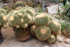 20250823_GrugaPark-Essen-83