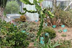 20250823_GrugaPark-Essen-84