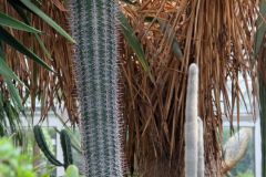 20250823_GrugaPark-Essen-85