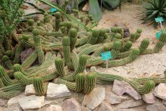 20250823_GrugaPark-Essen-86