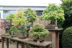 20250823_GrugaPark-Essen-89