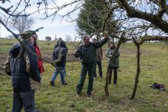 20250315_OG_Obstbaumschnitt_Deudesfeld-28