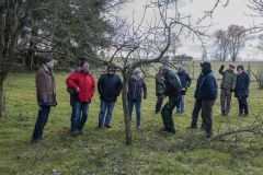 20250315_OG_Obstbaumschnitt_Deudesfeld-34