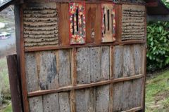 20240316_Obstbaumschnitt_004