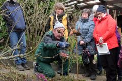 20240316_Obstbaumschnitt_008