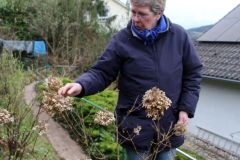 20240316_Obstbaumschnitt_014