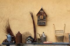 20230325_Obstbaumschnitt-02
