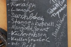 20230325_Obstbaumschnitt-03