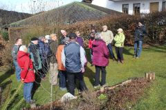 20230325_Obstbaumschnitt-10