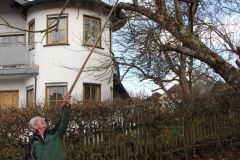 20230325_Obstbaumschnitt-11