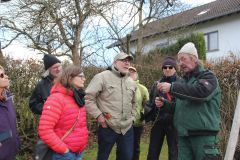 20230325_Obstbaumschnitt-14