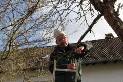 20230325_Obstbaumschnitt-16