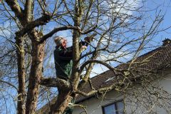 20230325_Obstbaumschnitt-17