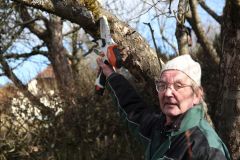 20230325_Obstbaumschnitt-19