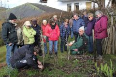 20230325_Obstbaumschnitt-20