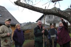 20230325_Obstbaumschnitt-23