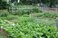 20220716_Offener-Garten-06