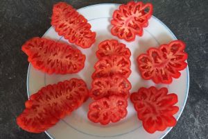 Tomaten, Tomaten August 2023