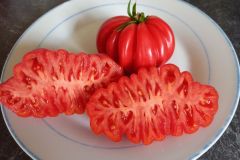 2023_Tomaten-Tomaten_005