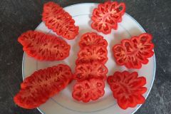 2023_Tomaten-Tomaten_006