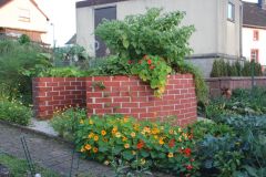 2023_Tomaten-Tomaten_007