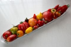 2023_Tomaten-Tomaten_009